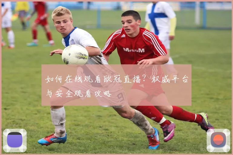 如何在线观看欧冠直播？权威平台与安全观看攻略