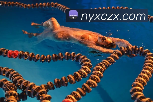 问鼎app网页版入口平台生态图